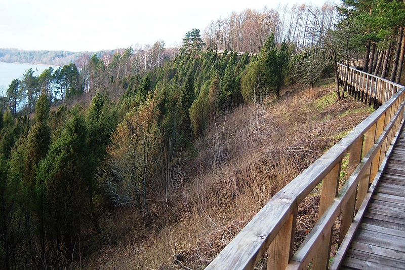 Kadagių slėnis