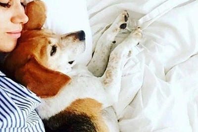 Meghan Markle su augintiniais / Socialinių tinklų nuotr.