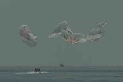 „SpaceX“ pilotuojama kapsulė „Crew Dragon“ rugpjūčio 2-ąją grįžo iš kosmoso ir nusileido Meksikos įlankoje / Scanpix nuotr.