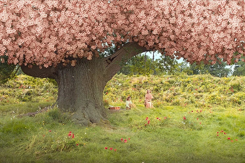 Kadras iš filmo „Paslaptingas sodas“