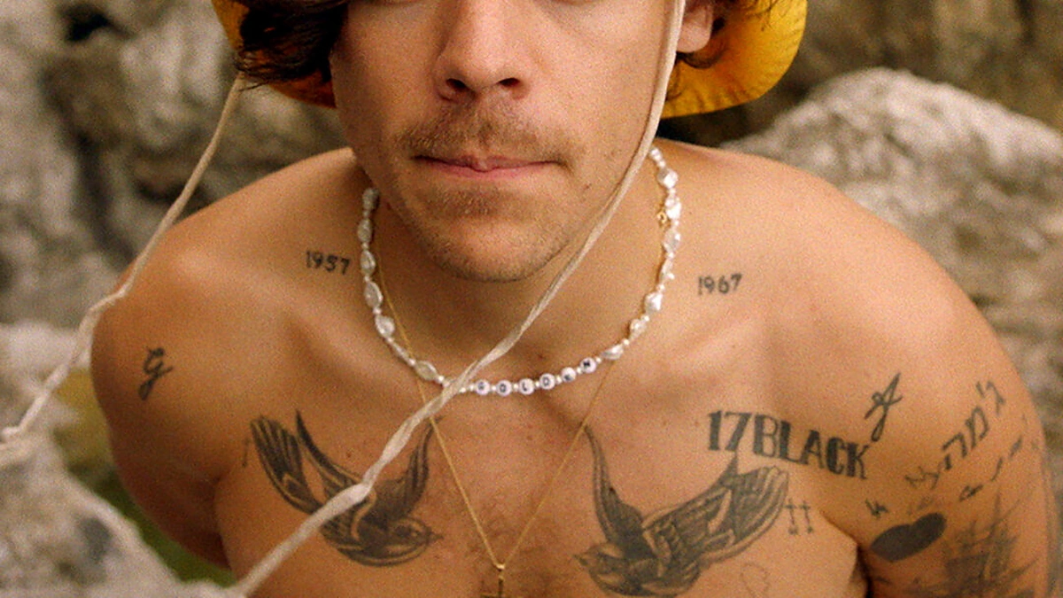 Harry Stylesas / Stop kadras