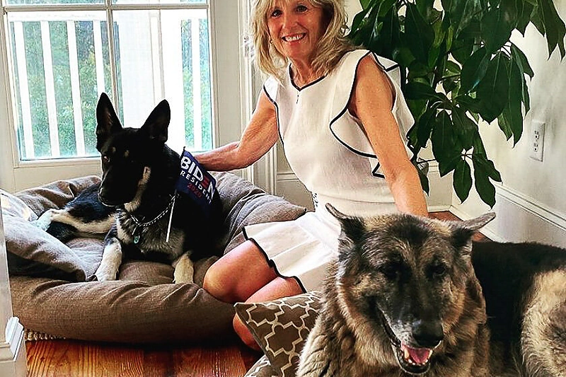 Po ketverių metų pertraukos Baltuosiuose rūmuose vėl apsigyvens keturkojai: senukas Čempas ir prieš dvejus metus iš prieglaudos paimtas Meidžoras – Bidenų augintiniai / Getty nuotrauka