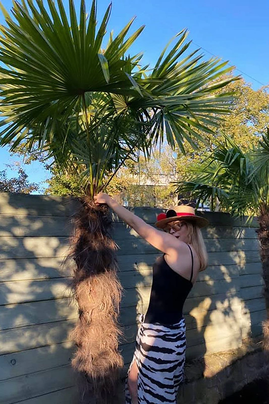 Dainos ir Antano Bosų kieme Palangoje buvo pasodintos aštuonios palmės, tačiau nė viena neišgyveno / Asmeninio albumo nuotr.