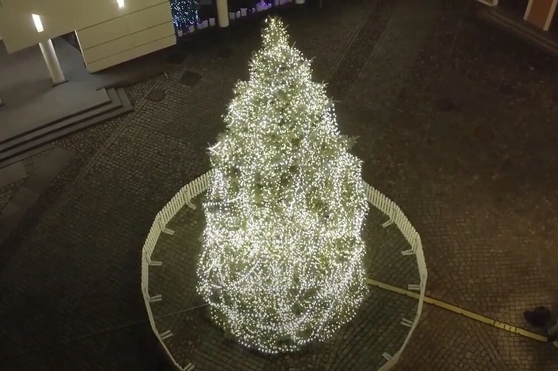 Klaipėdoje įžiebta kalėdinė eglutė