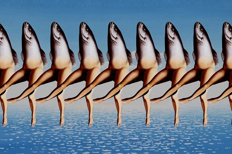 „The Art of Living“ kadras / Ievos Repečkaitės nuotr.