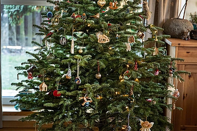 Gian Lucos Demarco eglutė / Gretos Skaraitienės nuotr.