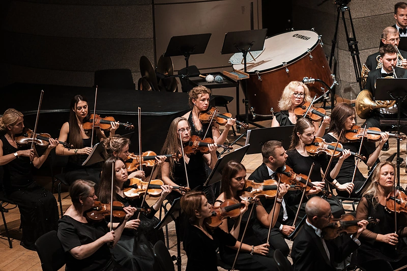 Lietuvos valstybinis simfoninis orkestras / D.Matvejev nuotr.