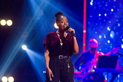 „Lietuvos balso“ premjera / LNK nuotr.