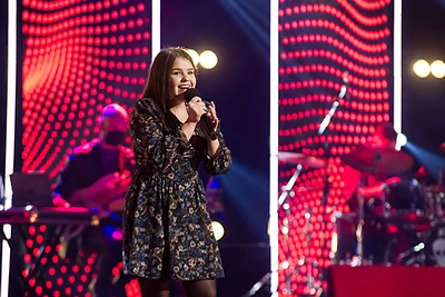 „Lietuvos balso“ premjera / LNK nuotr.