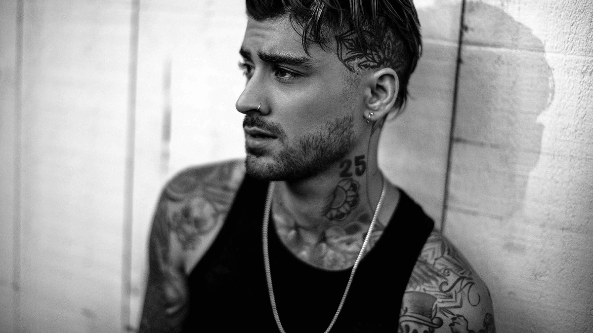 Zaynas Malikas / „Sony Music“ nuotr.