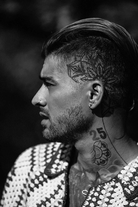 Zaynas Malikas / „Sony Music“ nuotr.