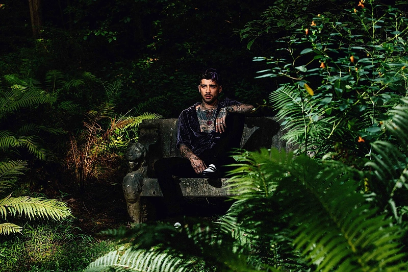 Zaynas Malikas / „Sony Music“ nuotr.