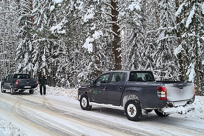 Reido akimirka / Valstybinių miškų urėdijos nuotr.