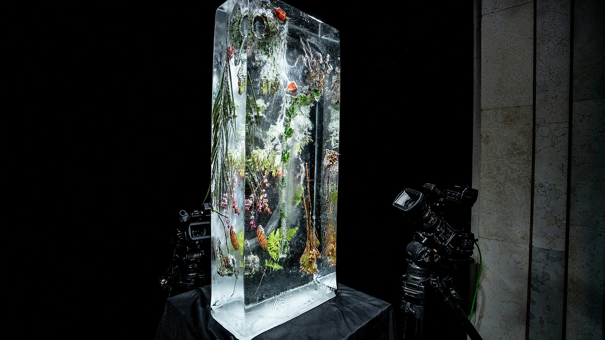Festivalio „Kino pavasaris“ 2021 metų vizualinė tapatybė „Veikti ar / ir būti?“ / Tautvydo Stuko nuotr.