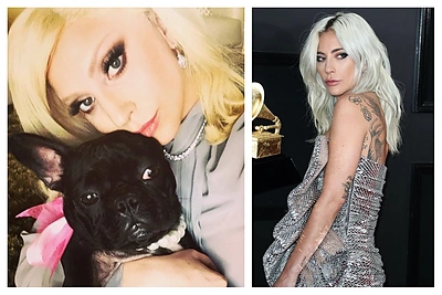 Pagrobti Lady Gagos augintiniai: nusikaltėlis šovė į juos vedžiojusį vyrą