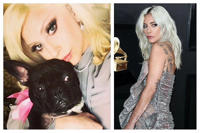 Pagrobti Lady Gagos augintiniai: nusikaltėlis šovė į juos vedžiojusį vyrą