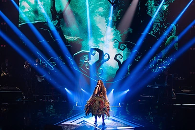 „Lietuvos balso“ finalas / Irmanto Gelūno nuotr.