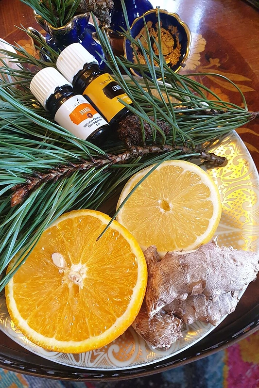 Pušų spyglių limonado ingredientai / Astos Muralytės nuotr.