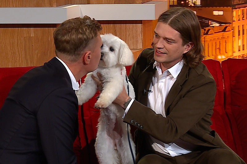 Mindaugas Stasiulis, Jonas Nainys / TV3 nuotr.