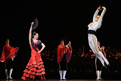 Koncerto „Baleto gala. Nepapasakotos istorijos“ akimirka / Martyno Aleksos nuotr.