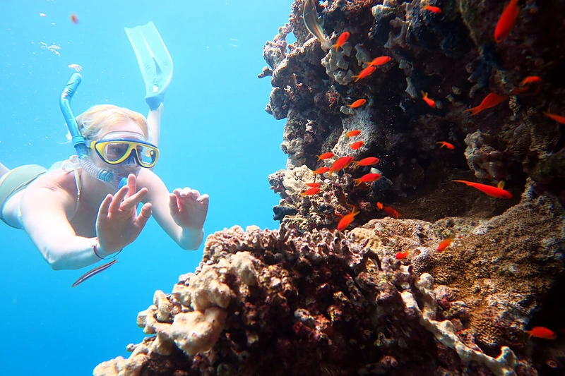 Augustė Vedrickaitė / Asmeninio archyvo nuotr.