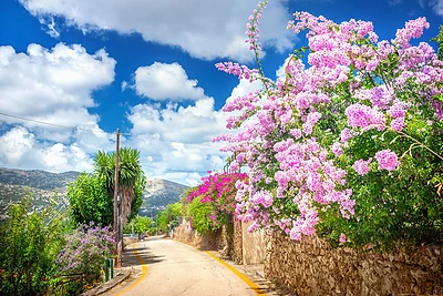 Graikijos sala Kefalonija / Dreamstime nuotr.