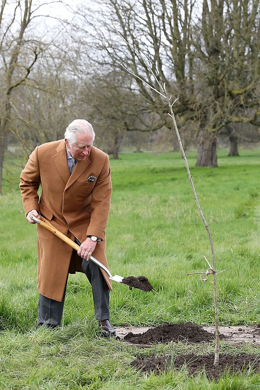 Princas Charlesas / „Vida Press“ nuotr.