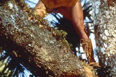 Joe Lara / „Vida Press“ nuotr.