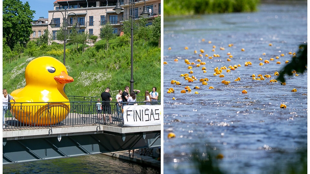 Labdaros renginys „Ančiukų lenktynės 2021“ / Sauliaus Čirbos nuotr.