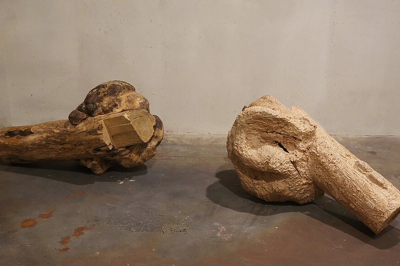 Mato Janušonio kūrinys „Vakcina“ (2021, beržo fanera)