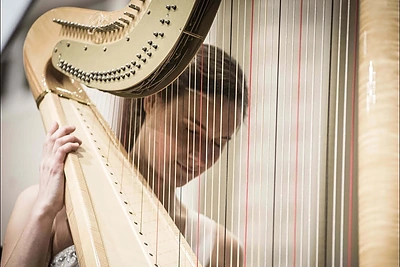 Koncerto „Karališkosios arfos solo“ solistė Joana Daunytė