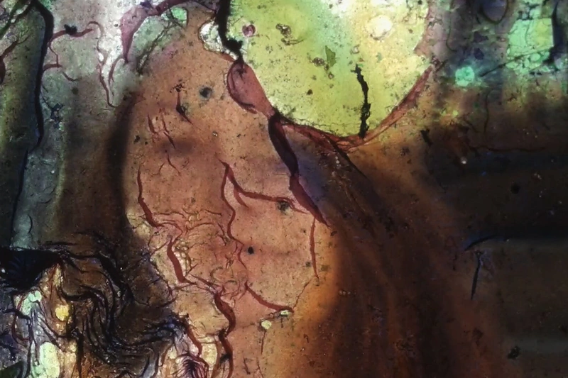 Kadras iš filmo „Paskutinis vaizdas“