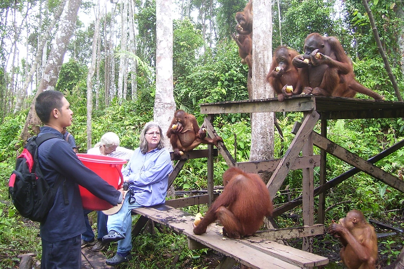 Birutė Galdikas / Scanpix nuotr.