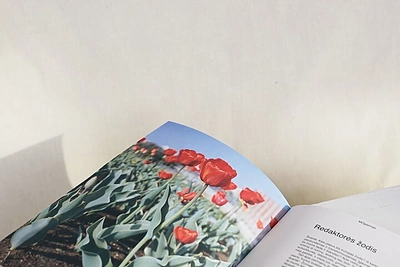 Pirmasis MO žurnalas – „MOgazinas“ / Gabrielės Kutkevičiūtės nuotr.