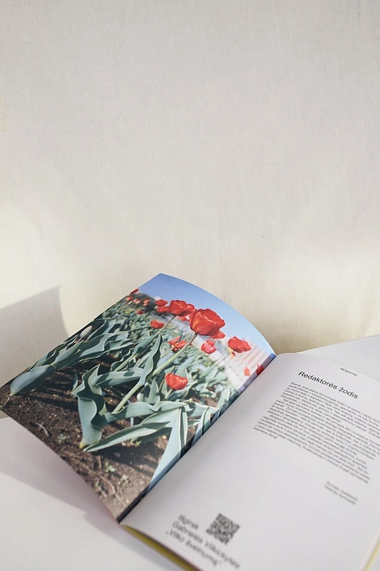 Pirmasis MO žurnalas – „MOgazinas“ / Gabrielės Kutkevičiūtės nuotr.