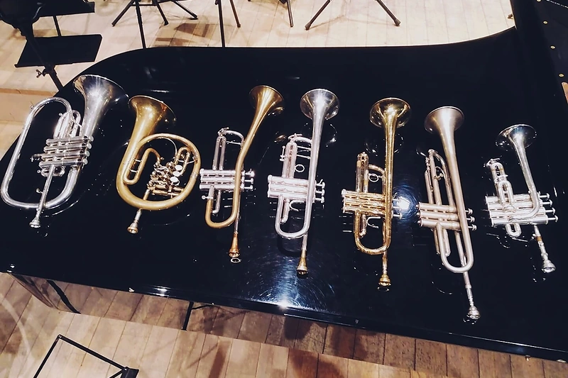 Algirdo Januševičiaus koncerto instrumentai