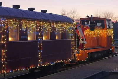 Kalėdinis siaurukas / Vaido Pupelio nuotr.