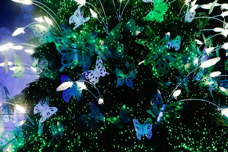 Drugeliais „plazdanti“ Kauno Kalėdų eglė / Teodoro Biliūno nuotr.