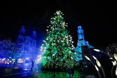 Drugeliais „plazdanti“ Kauno Kalėdų eglė / Teodoro Biliūno nuotr.