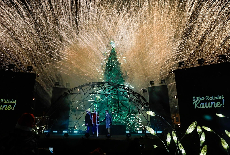 Drugeliais „plazdanti“ Kauno Kalėdų eglė / Teodoro Biliūno nuotr.