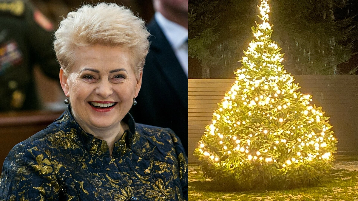 Dalia Grybauskaitė / Juliaus Kalinsko nuotr.