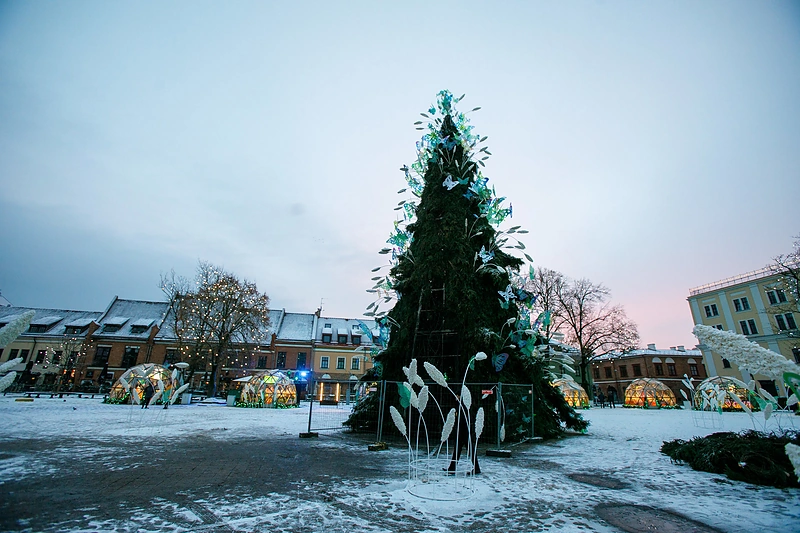 Kauno Kalėdų eglė / Eriko Ovčarenko nuotr.