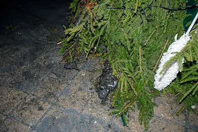 Kauno Kalėdų eglutė po padegimo / Eriko Ovčarenko nuotr.