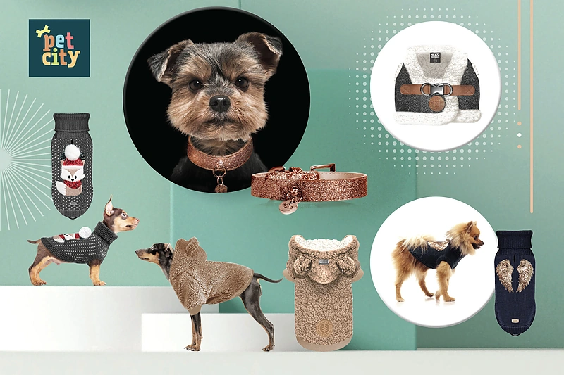 Kalėdinių dovanų gidas 2021