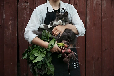 Kaime / Iš Giedrės Barauskienės knygos „Sodo istorijos“