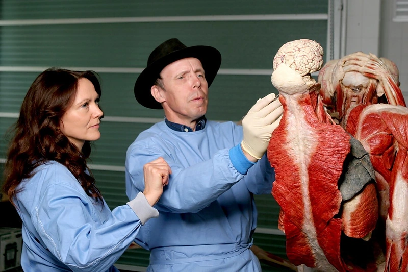 Paroda „Body Worlds“ / „Body Worlds Vital“ nuotr.