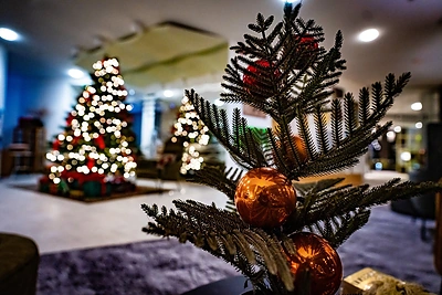 Viešbutis „Gabija“ / Projekto partnerio nuotr.