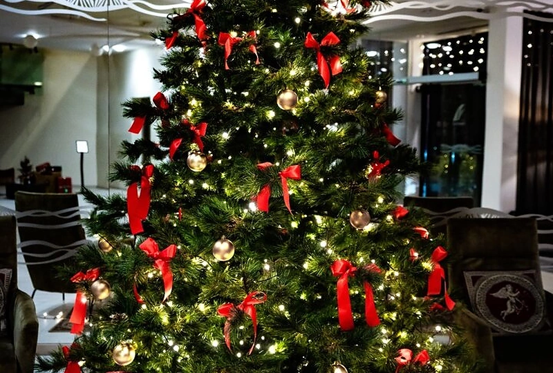 Viešbutis „Gabija“ / Projekto partnerio nuotr.