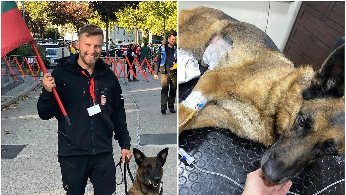 Paulius Kaupelis ir jo augintinis / Socialinių tinklų nuotr.