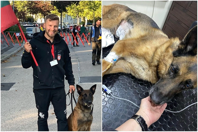 Žurnalistas P.Kaupelis vos neprarado mylimo šuns: „Noriu perspėti augintinių šeimininkus“